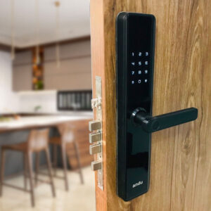 Khóa Cửa Điện Tử Andu A10 APP – Dùng Cho Cửa Gỗ